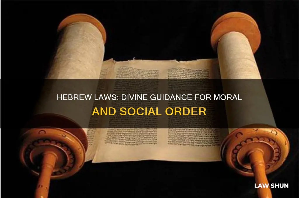 what did the hebrews believe was the purpose of laws
