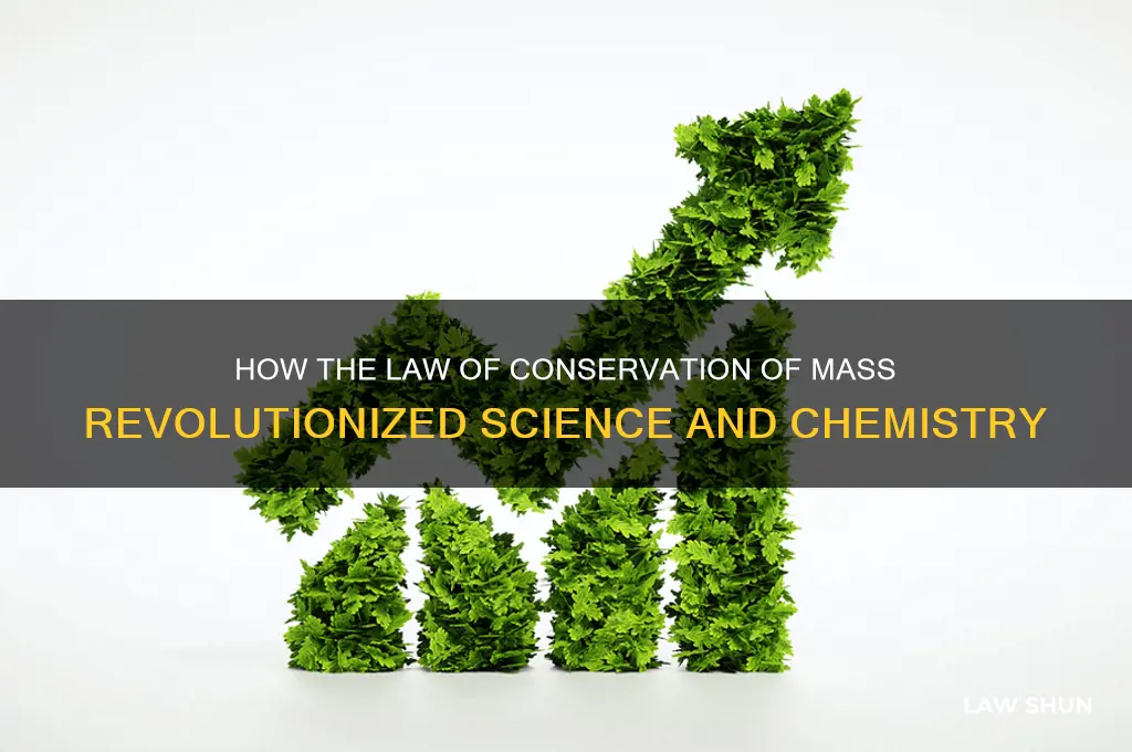 what did the law of conservation of mass contribute to