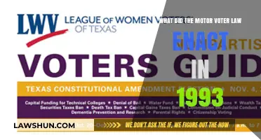 Motor Voter Law 1993: Simplifying Voter Registration for Americans