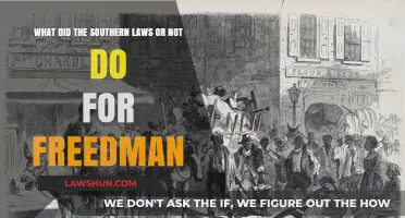 Southern Laws: Empowering or Failing Freedmen Post-Emancipation?