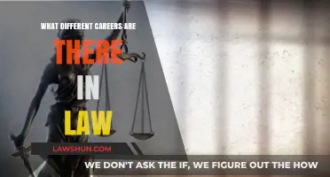 Exploring Diverse Legal Career Paths