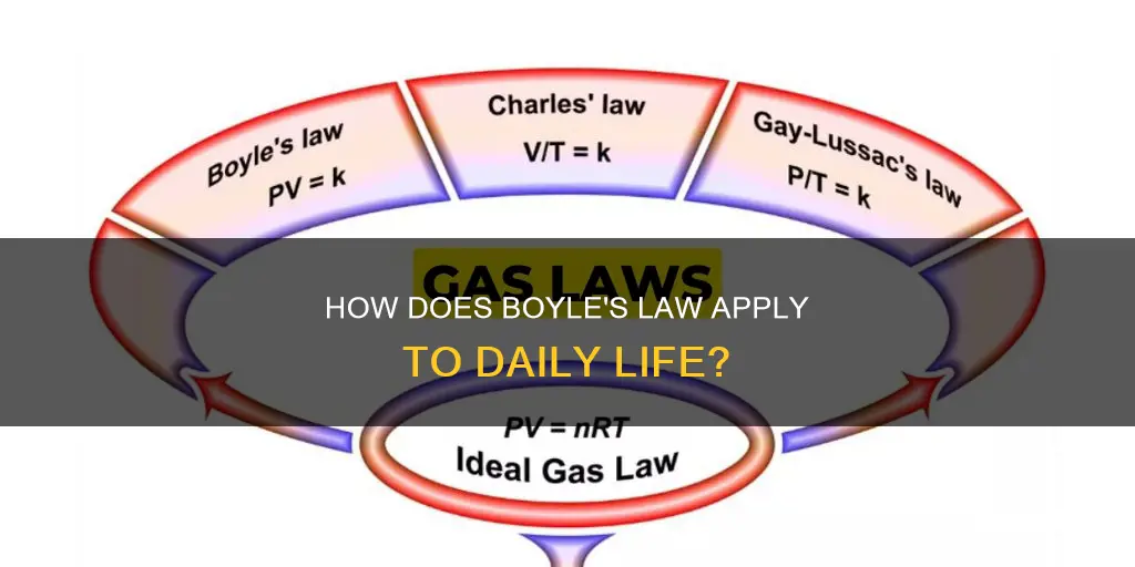 what different concepts can boyles law be applied to