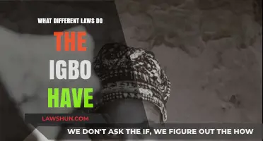 Exploring the Unique Legal System of the Igbo