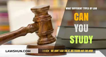 Exploring Law: Diverse Study Paths for Aspiring Lawyers