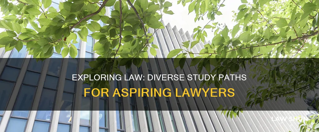 what different types of law can you study