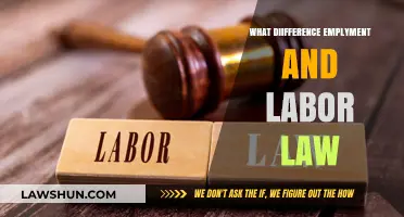 Employment vs. Labor Law: Key Differences and Their Impact Explained