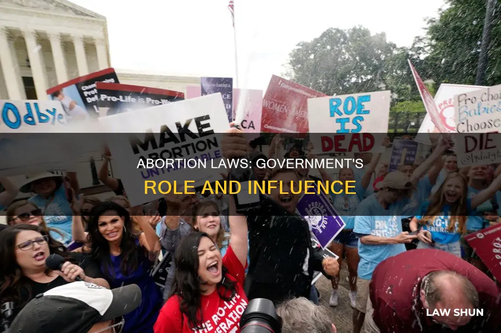 what do abortion laws have to do with government