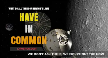 Newton's Laws: A Common Thread of Motion