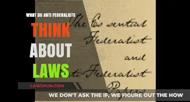 Anti-Federalist Views on Legislation: Balancing Power and Individual Rights