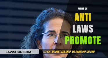 Understanding Anti-Laws: Promoting Freedom, Equality, or Societal Division?
