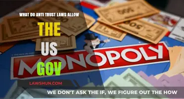 Understanding US Antitrust Laws: Powers and Limitations of Government Regulation