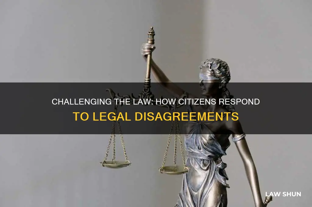 what do citizens do when they disagree with a law