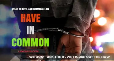 Civil and Criminal Law: Shared Foundations