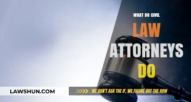Understanding Civil Law Attorneys: Roles, Responsibilities, and Legal Expertise