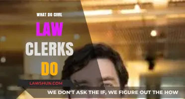 Understanding the Role and Responsibilities of Civil Law Clerks