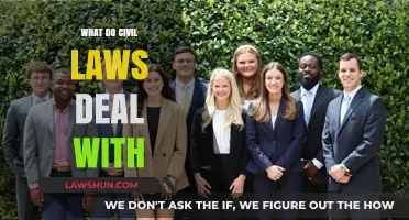 Understanding Civil Laws: Key Areas and Their Impact on Society