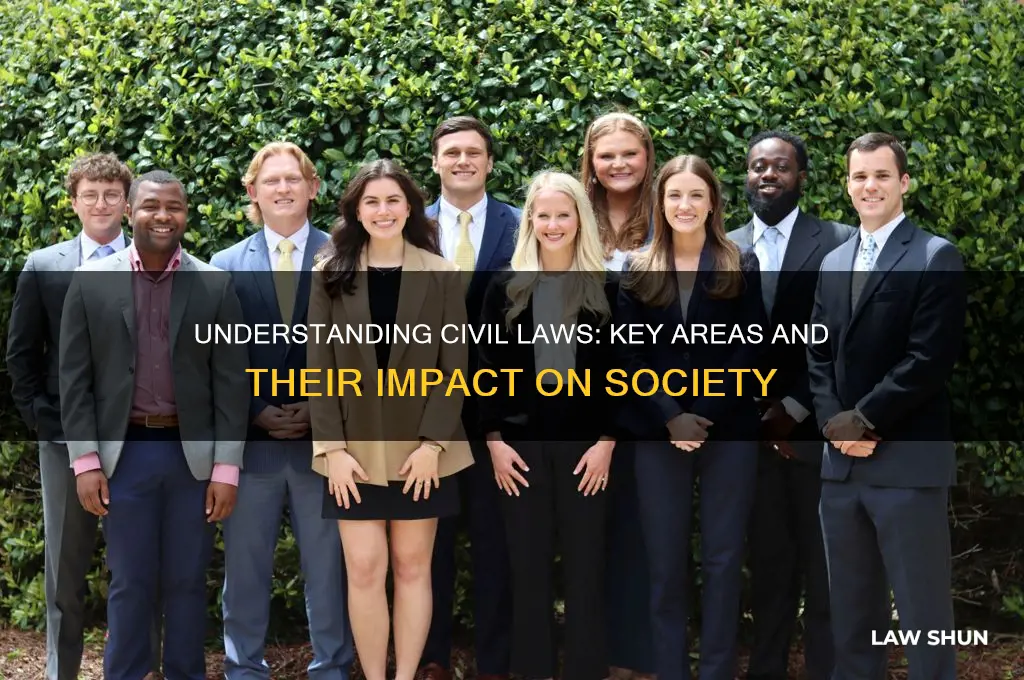 what do civil laws deal with