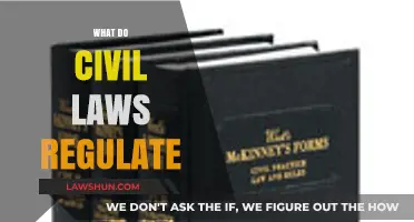 Understanding Civil Laws: Key Areas and Regulations Explained