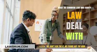 Understanding Common Law and Equity Law Basics