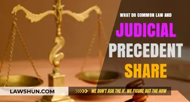 The Evolution of Common Law and Judicial Precedent