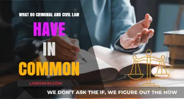 Criminal and Civil Law: Shared Goals, Different Paths