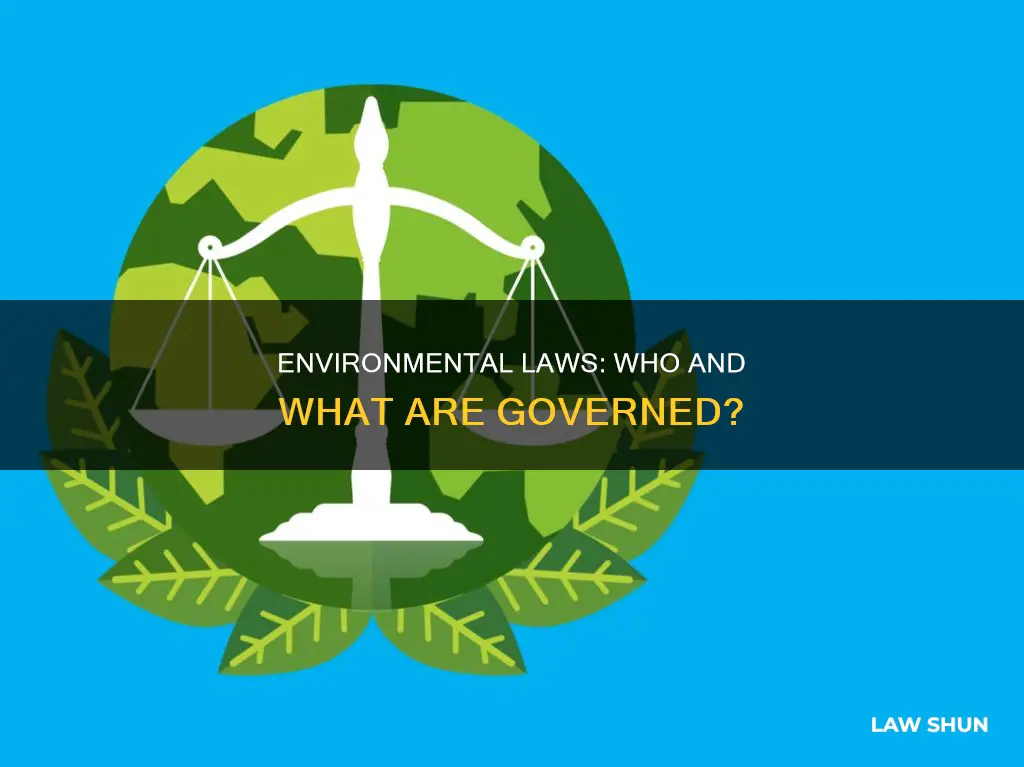 what do environmental laws and regulations apply to