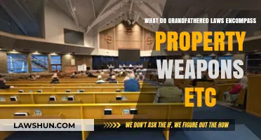 Grandfathered Laws Explained: Property, Weapons, and Legal Exemptions