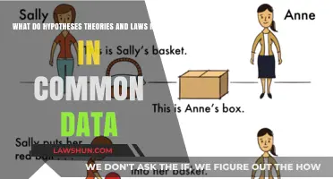 Hypotheses, Theories, and Laws: Data-Driven Discoveries