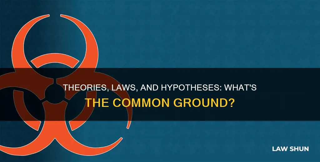 what do hypotheses theories and laws have in common