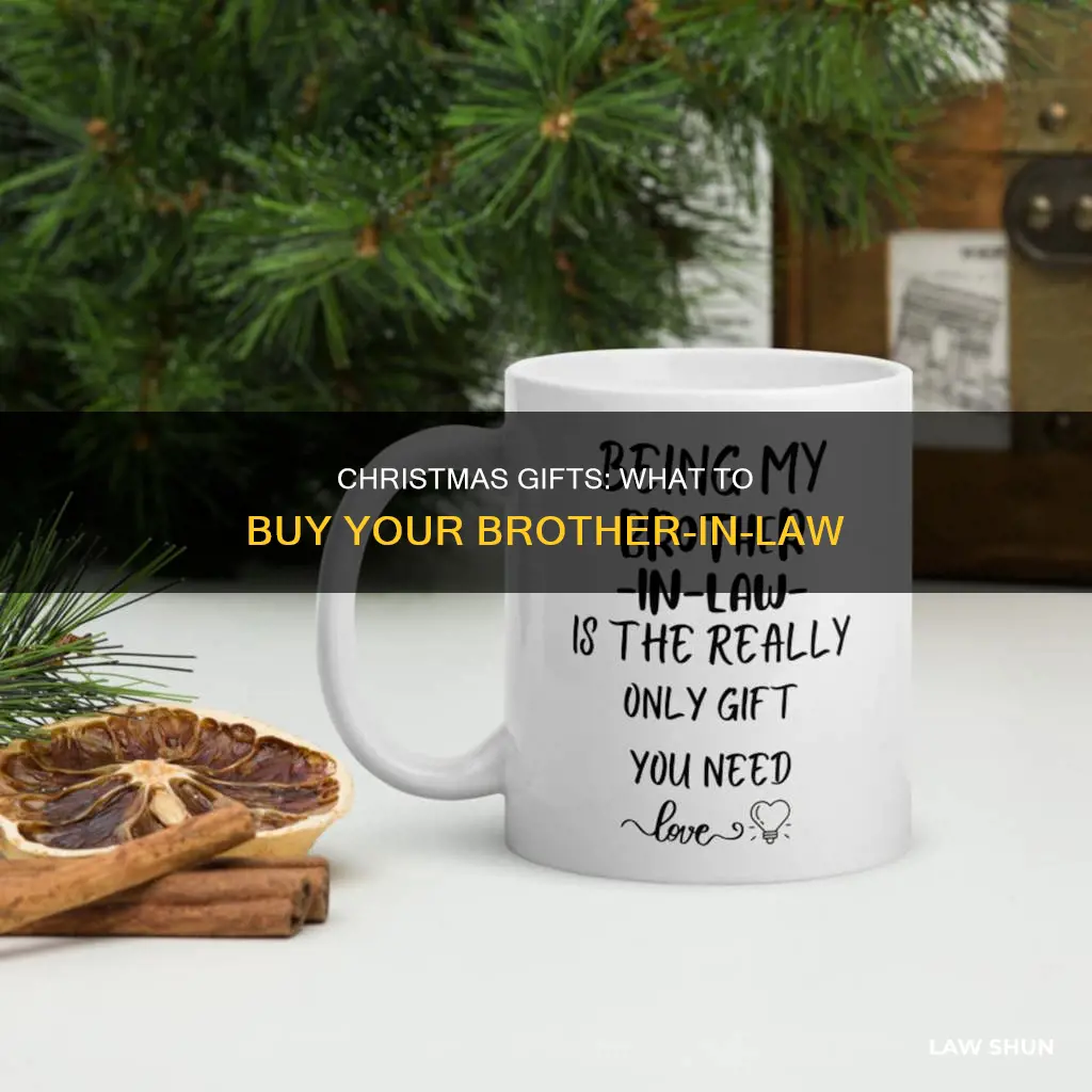 what do i buy my brother in law for christmas