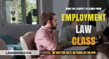 Exploring Employment Law: Key Insights and Expectations for My Class