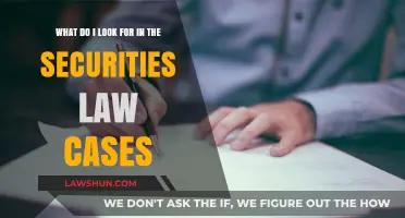 Key Elements to Look for in Securities Law Cases