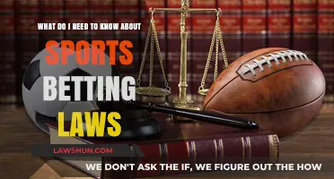 Understanding Sports Betting Laws: Essential Insights for Bettors