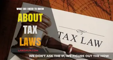 Understanding Tax Laws: What You Need to Know