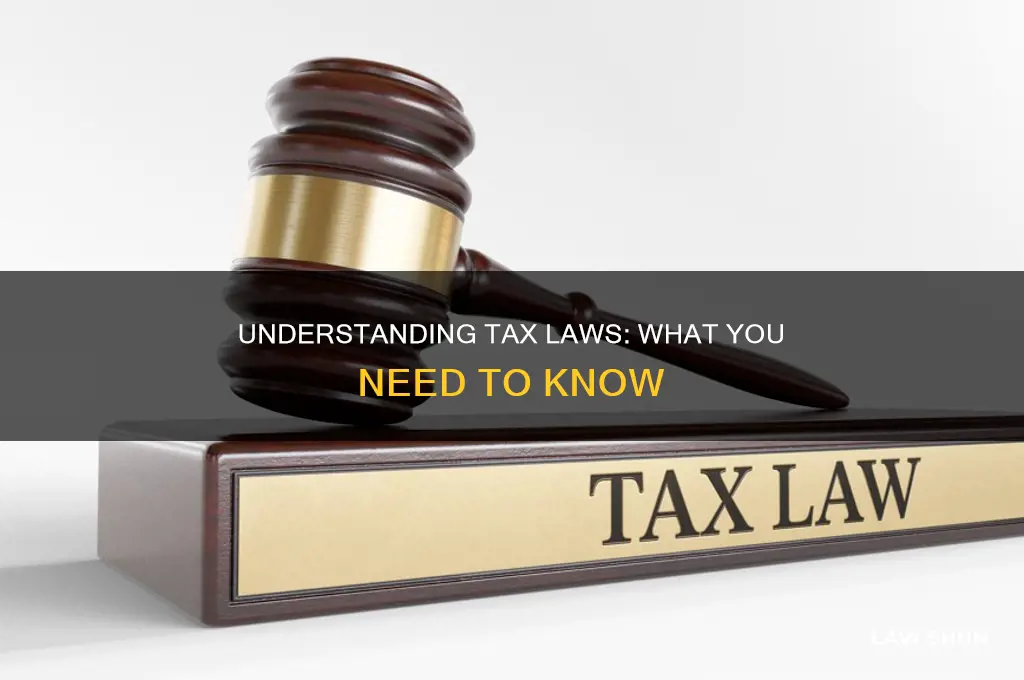 what do i need to know about tax laws