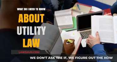 Understanding Utility Law: Key Insights for Consumers and Businesses