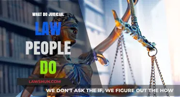 Understanding Judicial Law Professionals: Roles, Responsibilities, and Impact