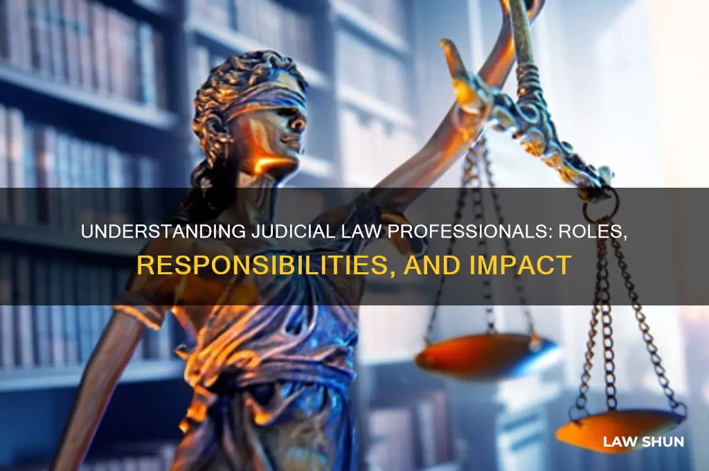 what do judicial law people do