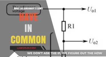 Kirchhoff's Laws: Common Denominator of Voltage and Current Conservation