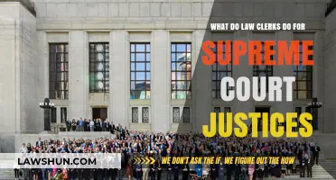 Behind the Bench: Law Clerks' Crucial Role in Supreme Court Justice Work