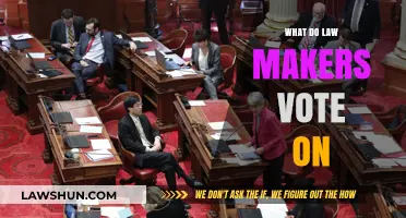 Understanding Lawmakers' Voting Decisions: Key Issues and Processes Explained