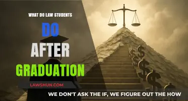 Post-Graduation Paths: Exploring Law Students' Career Options and Opportunities