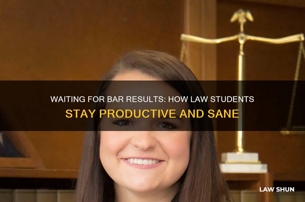 what do law students do before bar results