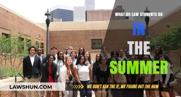 Summer Strategies: How Law Students Spend Their Break Productively