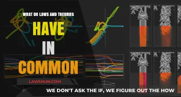 Laws and Theories: A Common Thread