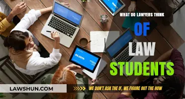 Lawyers' Perspectives: How They View and Evaluate Law Students