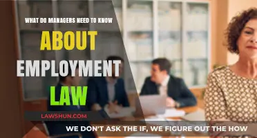 Essential Employment Law Insights Every Manager Should Understand Today