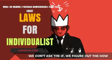 How Market-Focused Democracies Enact Laws Shaping Individualist Societies
