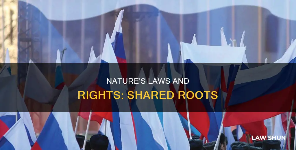 what do natueal law and natural rights have in common