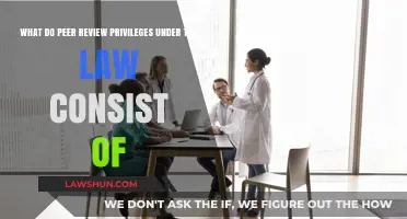 Understanding Peer Review Legal Privileges: Rights, Protections, and Limitations